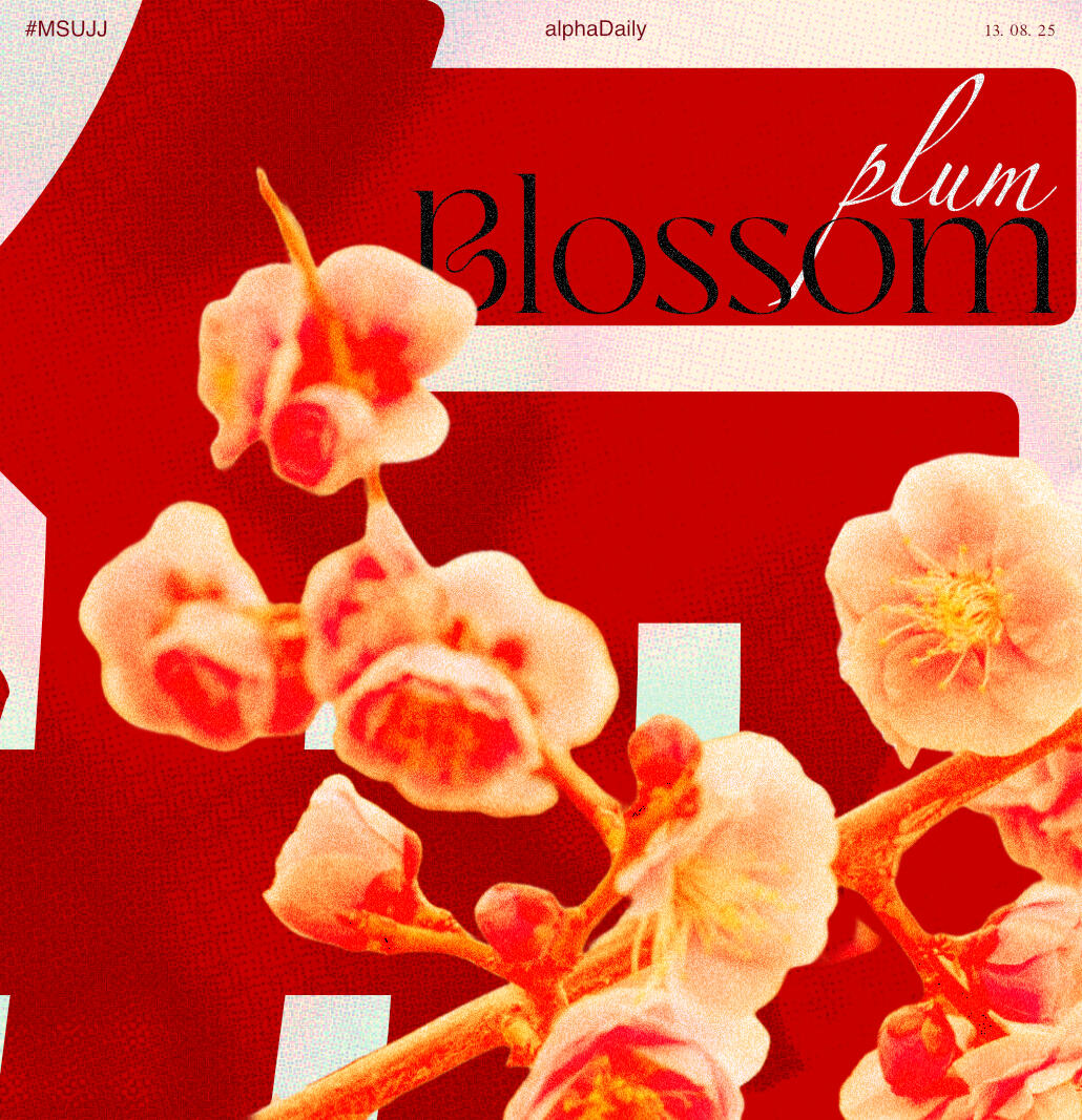 Ume Plum Blossom. u