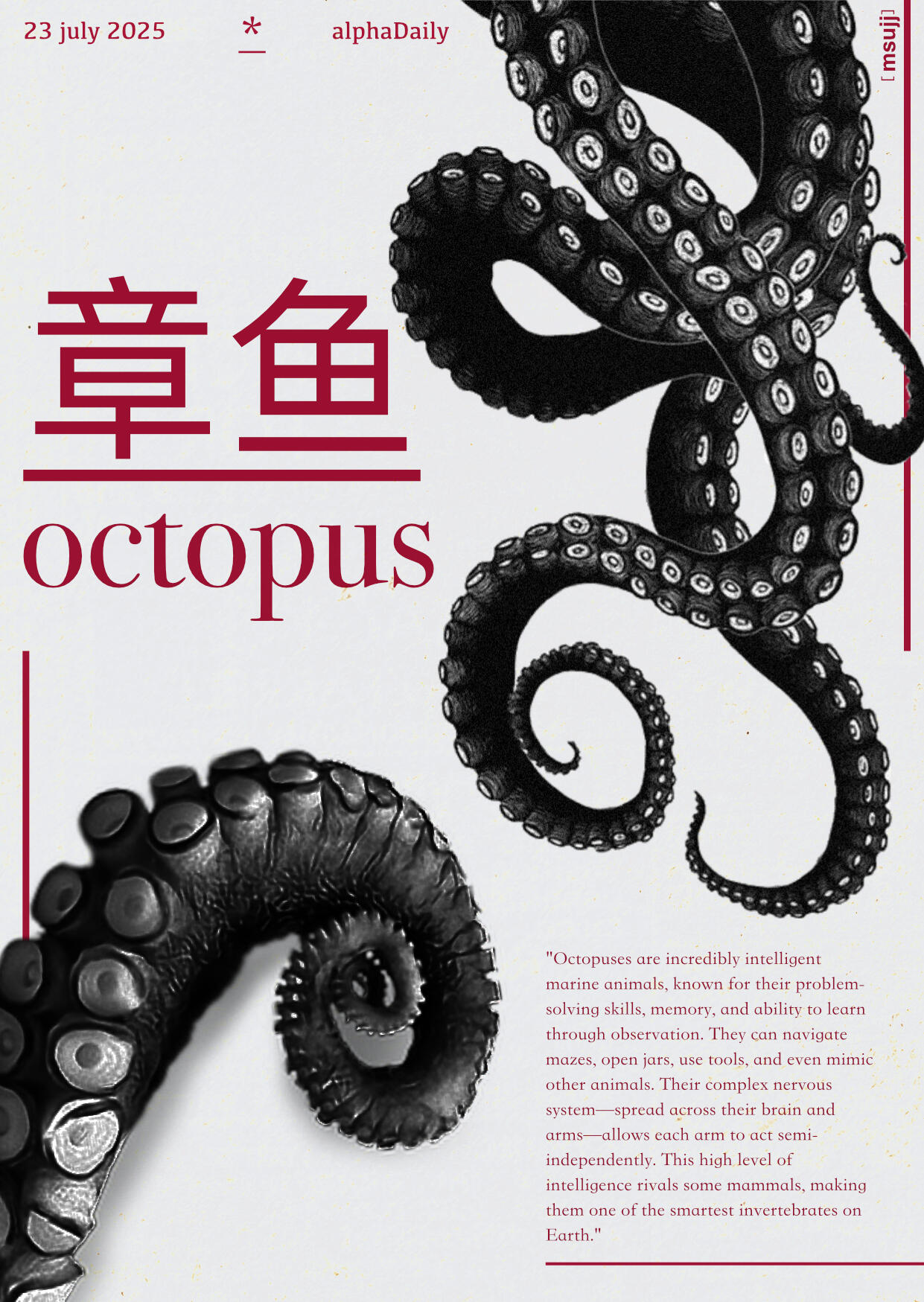 Octopus. o